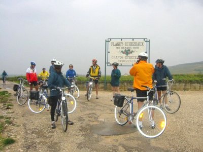 Photo Stop in Heart of Grand Crus Country